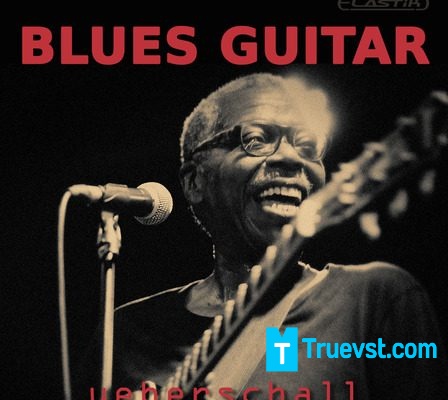 Blues Guitar VST Crack Download (1)