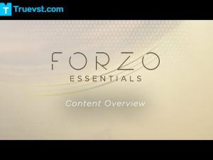 Forzo VST Crack Download (1)