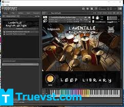 Laventille Rhythm Section VST Key Download (1)