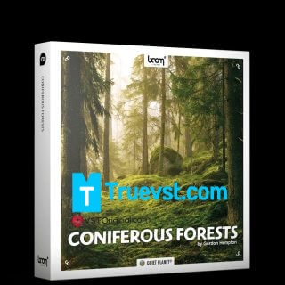 Coniferous Forests STEREO SURROUND Crack Free Download (1) (1)
